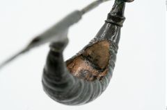 Foto von Bronzekahnfibel (NHMW-PRAE-025967)